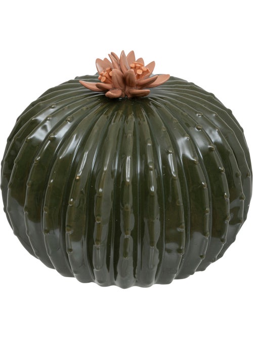 Cactus déco, céramique EXOTIC PANAMA - Kiabi