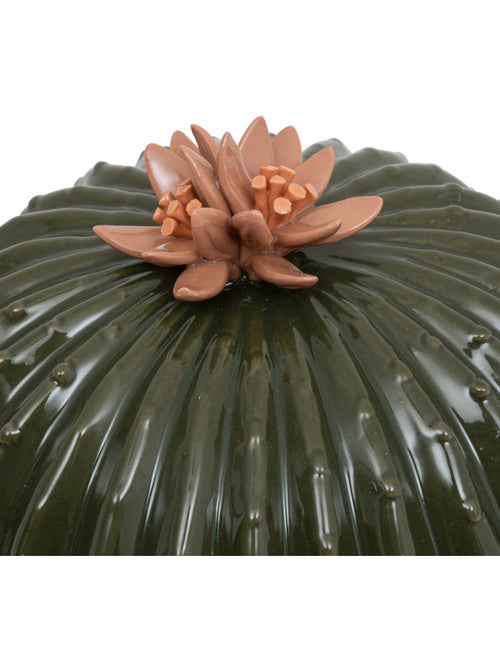 Cactus déco, céramique EXOTIC PANAMA - Kiabi