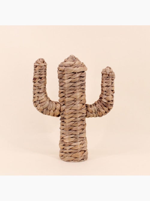 Cactus en fibres naturelles 35cm - Kiabi Cactus en fibres naturelles 35cm - Kiabi