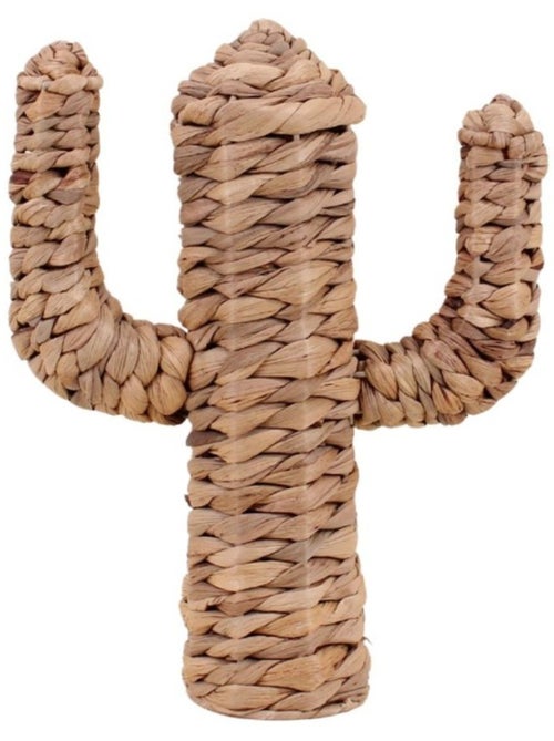 Cactus en fibres naturelles 35cm - Kiabi Cactus en fibres naturelles 35cm - Kiabi