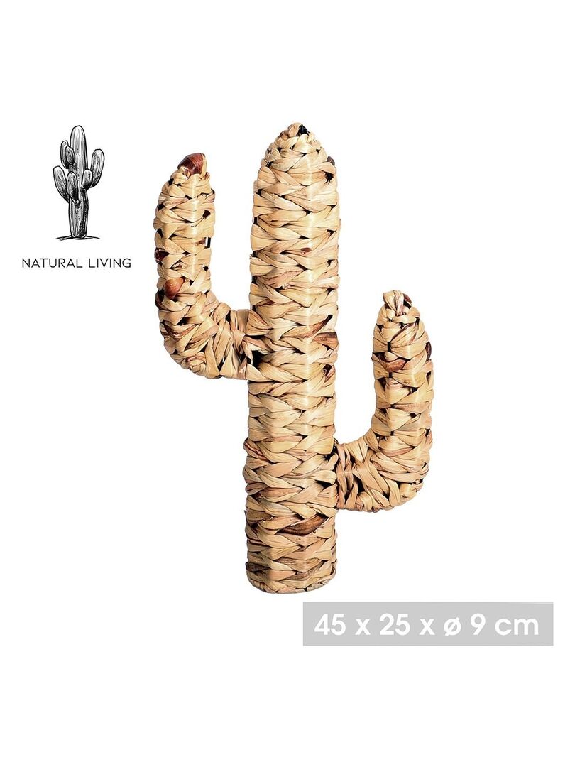 Cactus en jacinthe d'eau H45 Beige - Kiabi