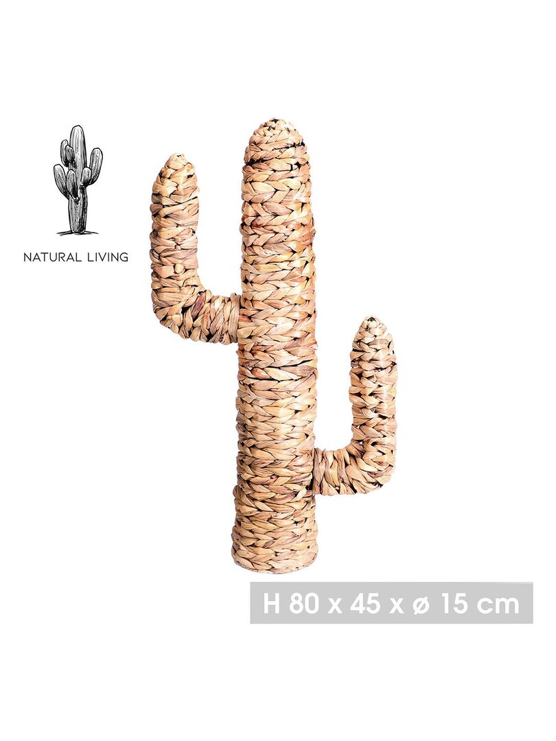 Cactus en jacinthe d'eau H80 Beige - Kiabi