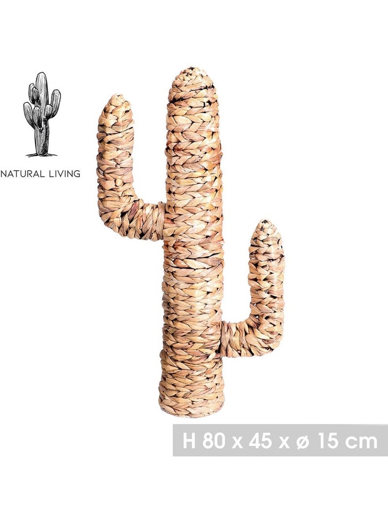 Cactus en jacinthe d'eau H80 Beige - Kiabi