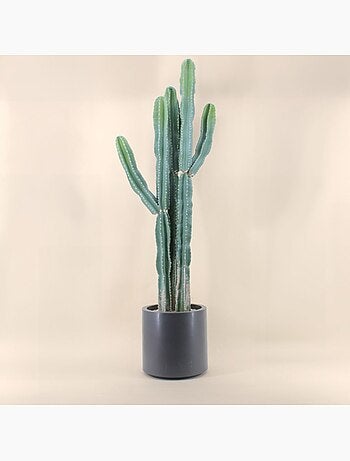 Cactus erytréa artificiel 167cm