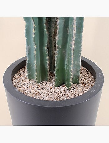 Cactus erytréa artificiel 167cm