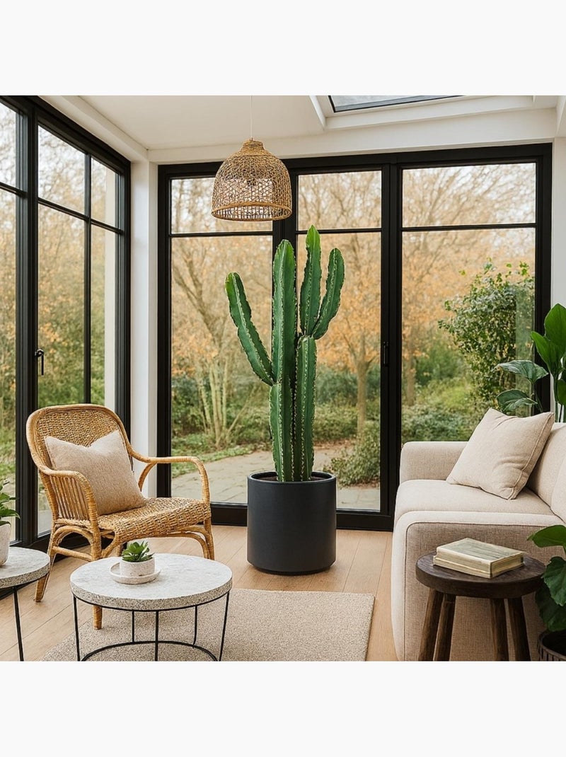 Cactus erytréa artificiel 167cm Vert - Kiabi
