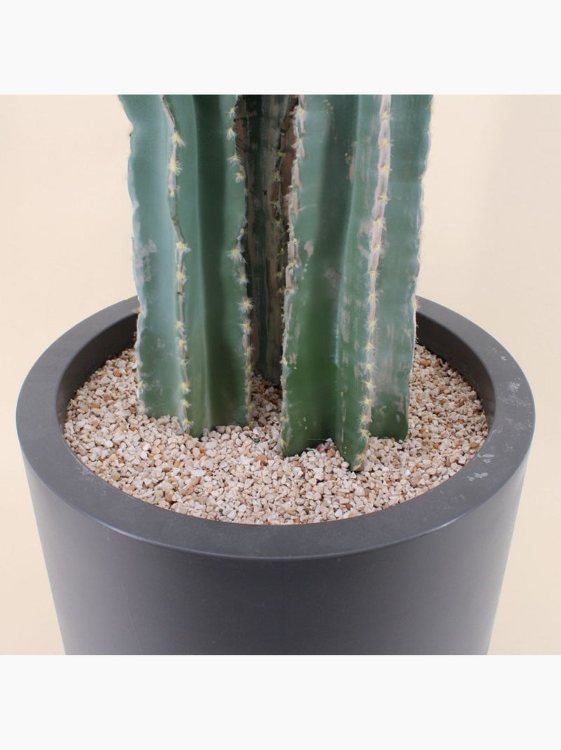 Cactus erytréa artificiel 167cm Vert - Kiabi