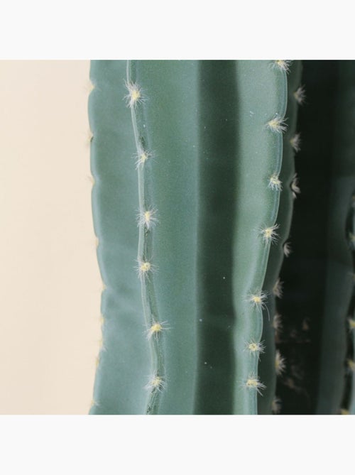 Cactus erytréa artificiel 167cm - Kiabi