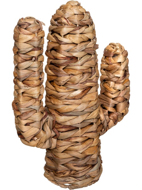 Cactus HACI - Kiabi