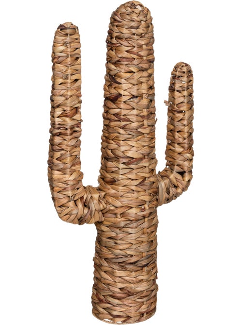 Cactus HACIENDA - Kiabi