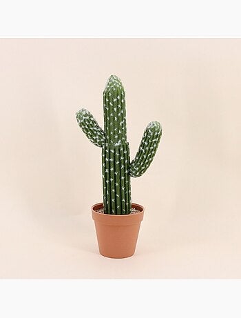 Cactus polaskia artificiel 41cm