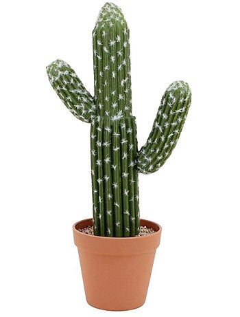 Cactus polaskia artificiel 41cm