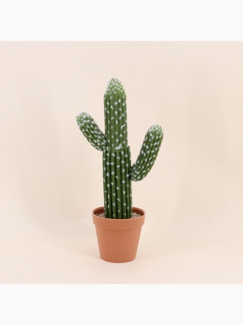 Cactus polaskia artificiel 41cm - Kiabi