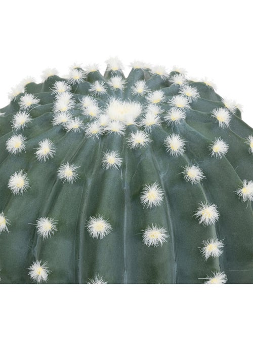 Cactus rond EXOTIC PANAMA - Kiabi
