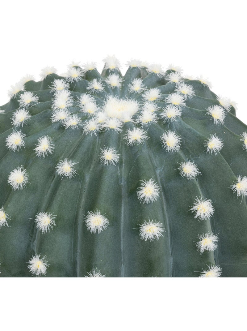 Cactus rond EXOTIC PANAMA Vert - Kiabi
