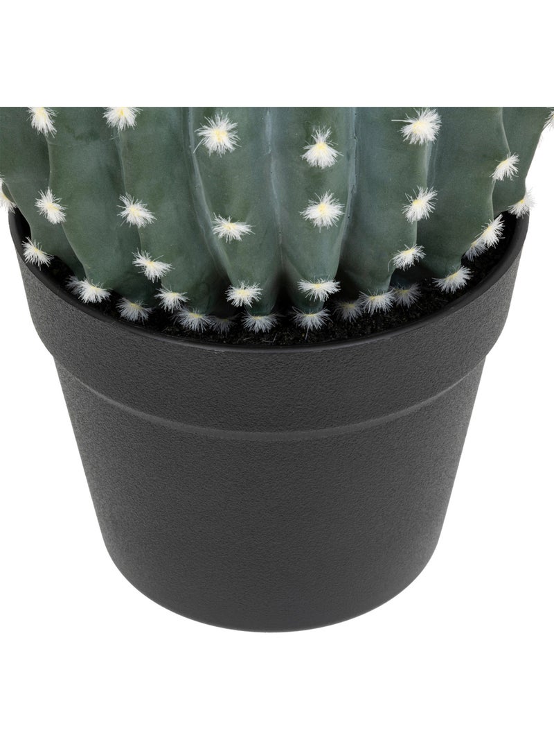 Cactus rond EXOTIC PANAMA Vert - Kiabi