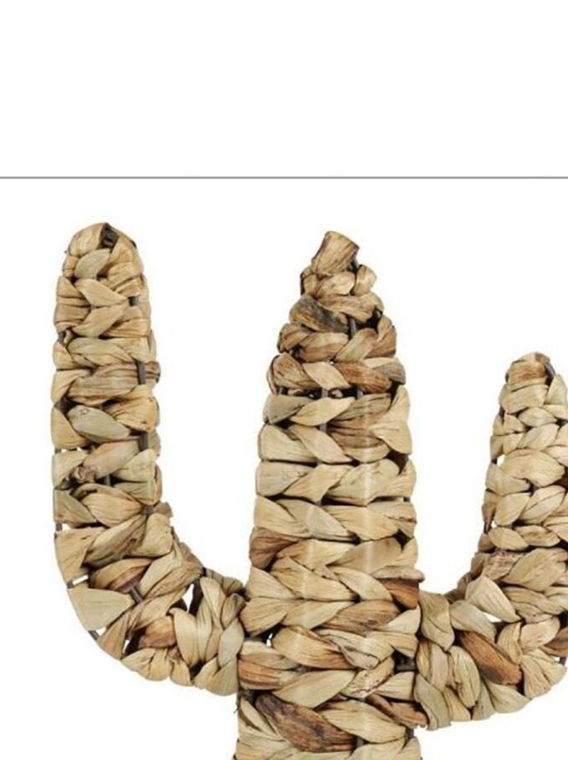 Cactus rotin naturel Beige - Kiabi