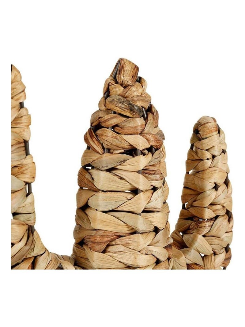 Cactus rotin naturel Beige - Kiabi