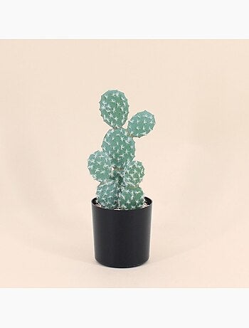 Cactus rufida artificiel 27cm