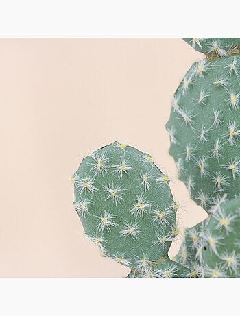 Cactus rufida artificiel 27cm