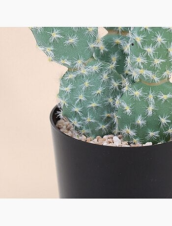 Cactus rufida artificiel 27cm