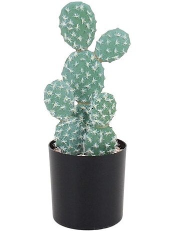 Cactus rufida artificiel 27cm