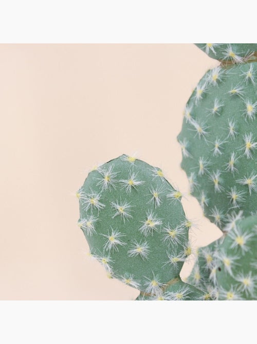 Cactus rufida artificiel 27cm - Kiabi