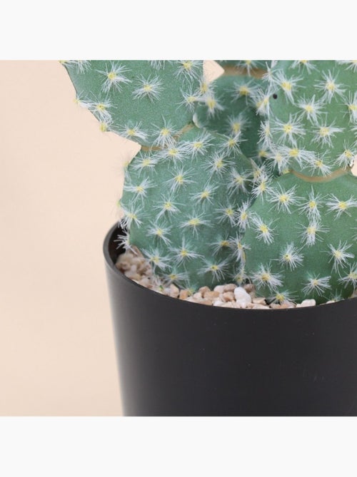 Cactus rufida artificiel 27cm - Kiabi