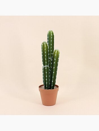 Cactus vatricania artificiel 44cm