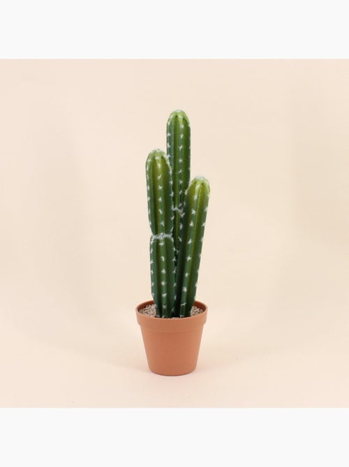 Cactus vatricania artificiel 44cm - Kiabi