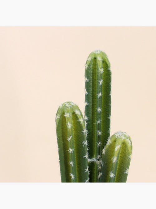 Cactus vatricania artificiel 44cm - Kiabi