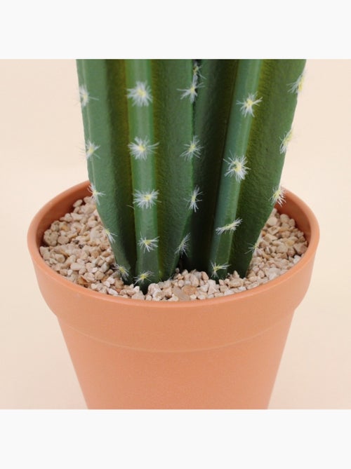 Cactus vatricania artificiel 44cm - Kiabi