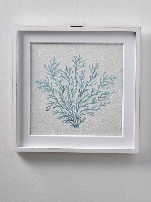 Cadre avec poster Corail BEACH HOUSE - Kiabi