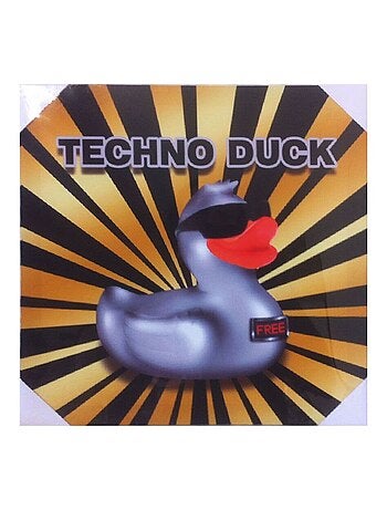Cadre en toile canard techno