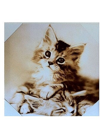 Cadre en toile chaton