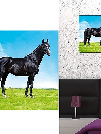 Cadre en toile cheval