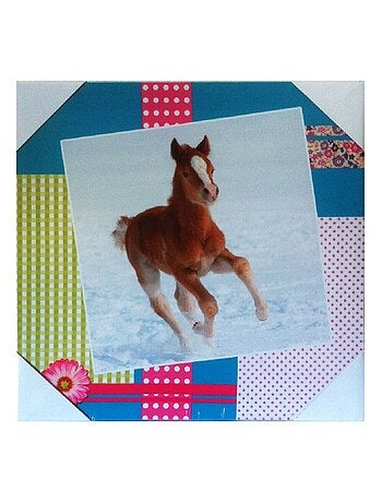 Cadre en toile poulain