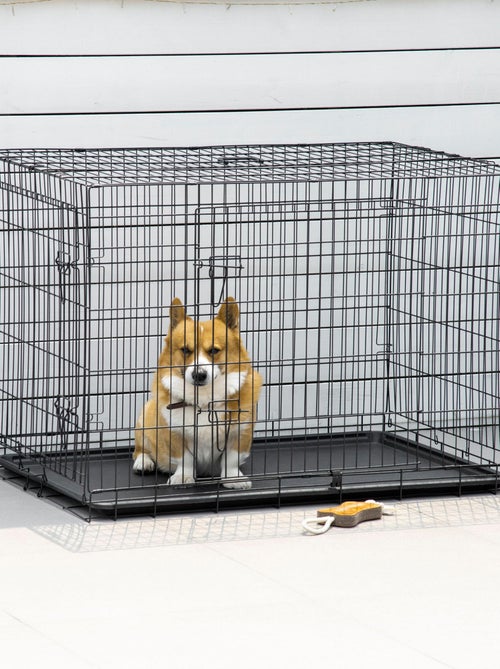 Cage caisse de transport pliante pour chien 106 x 71 x 76 cm métal noir - Kiabi