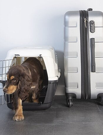 Cage de transport pour chat et chien CHEESTER