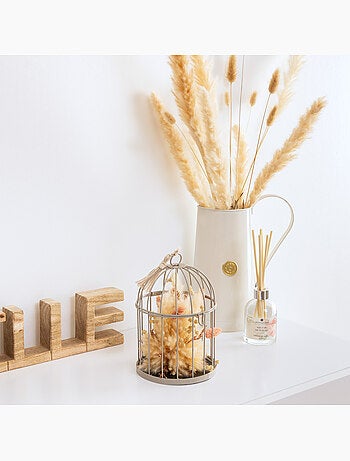 Cage lumière d'hiver