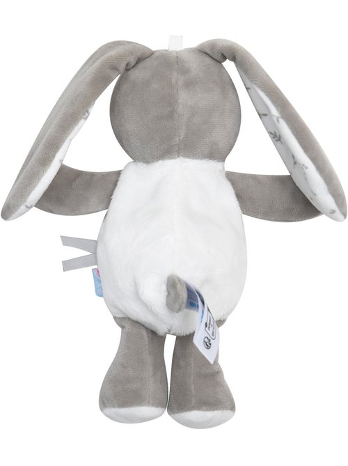 CAJOU LAPIN RUDEL VELOURS DOUX - Kiabi