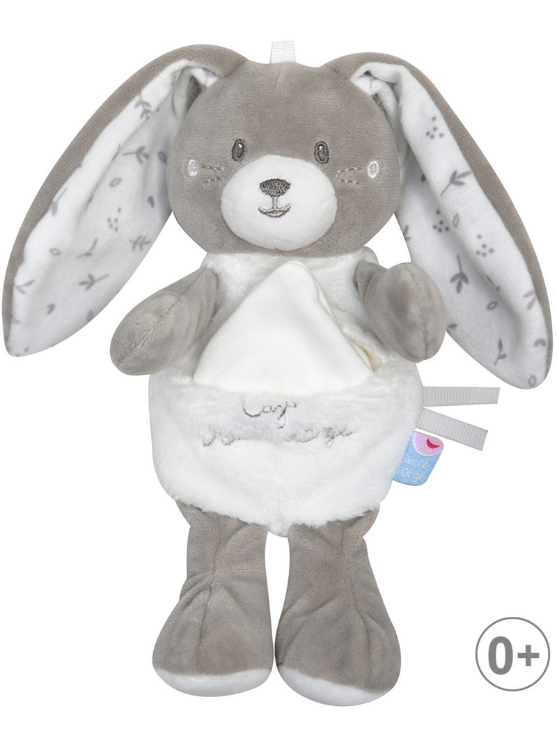 CAJOU LAPIN RUDEL VELOURS DOUX Gris - Kiabi