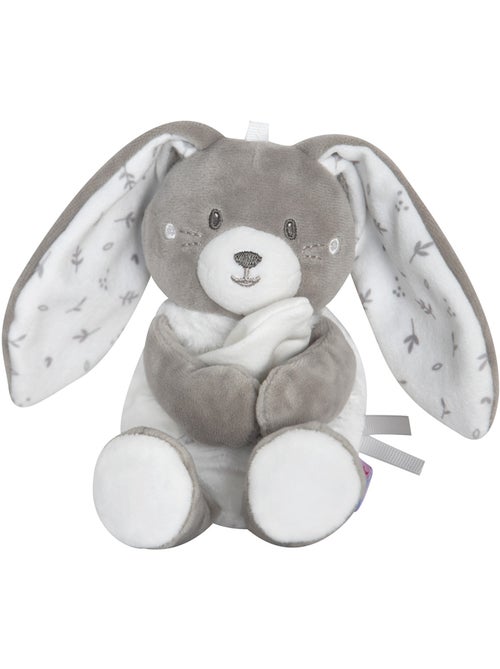 CAJOU LAPIN RUDEL VELOURS DOUX - Kiabi