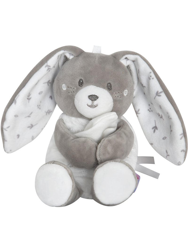 CAJOU LAPIN RUDEL VELOURS DOUX Gris - Kiabi