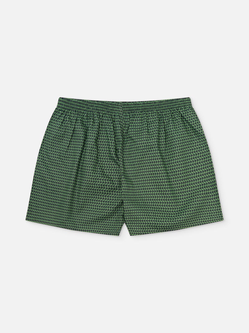 Caleçon Homme Vert Pastel Vert foncé - Kiabi