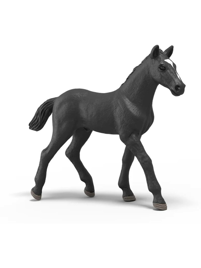 Calendrier de l'Avent - Horse Club Miracle de Noël Multicolore - Kiabi
