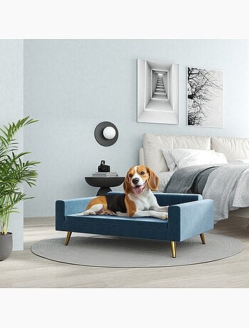 Canapé chien style art déco - coussin - acier doré velours bleu
