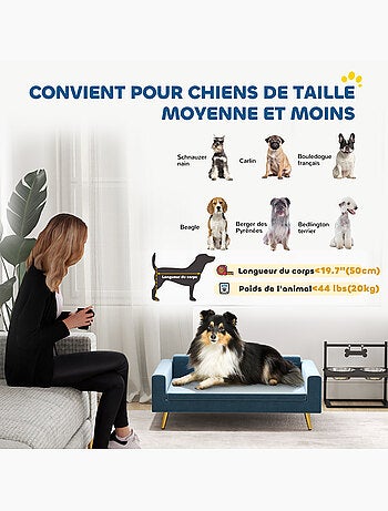Canapé chien style art déco - coussin - acier doré velours bleu