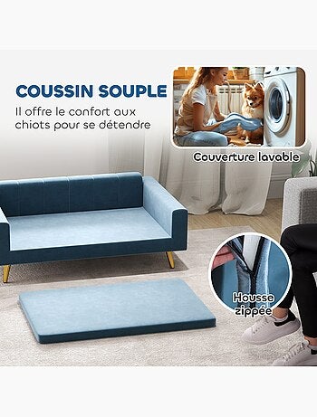 Canapé chien style art déco - coussin - acier doré velours bleu