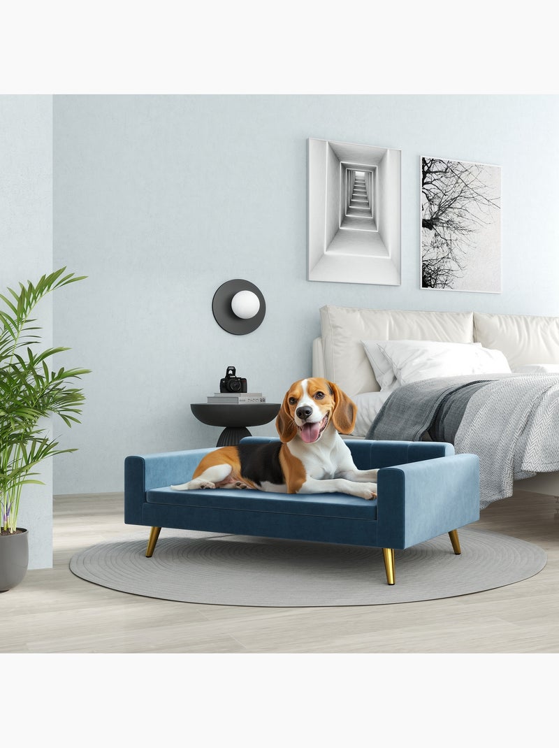 Canapé chien style art déco - coussin - acier doré velours bleu Bleu Bleu - Kiabi